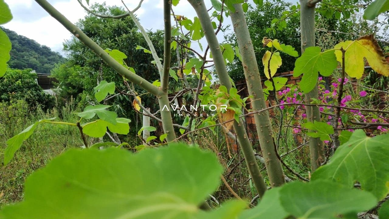Terreno à venda em Nossa Senhora do Perpétuo Socorro, Santa Maria/RS — foto 4 de 12