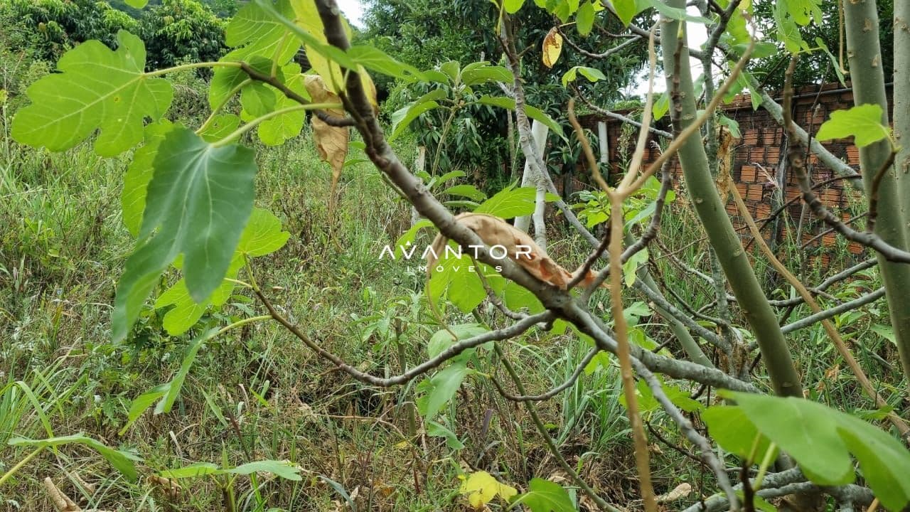 Terreno à venda em Nossa Senhora do Perpétuo Socorro, Santa Maria/RS — foto 5 de 12