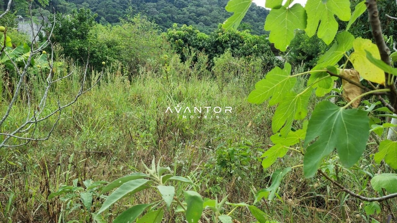 Terreno à venda em Nossa Senhora do Perpétuo Socorro, Santa Maria/RS — foto 6 de 12