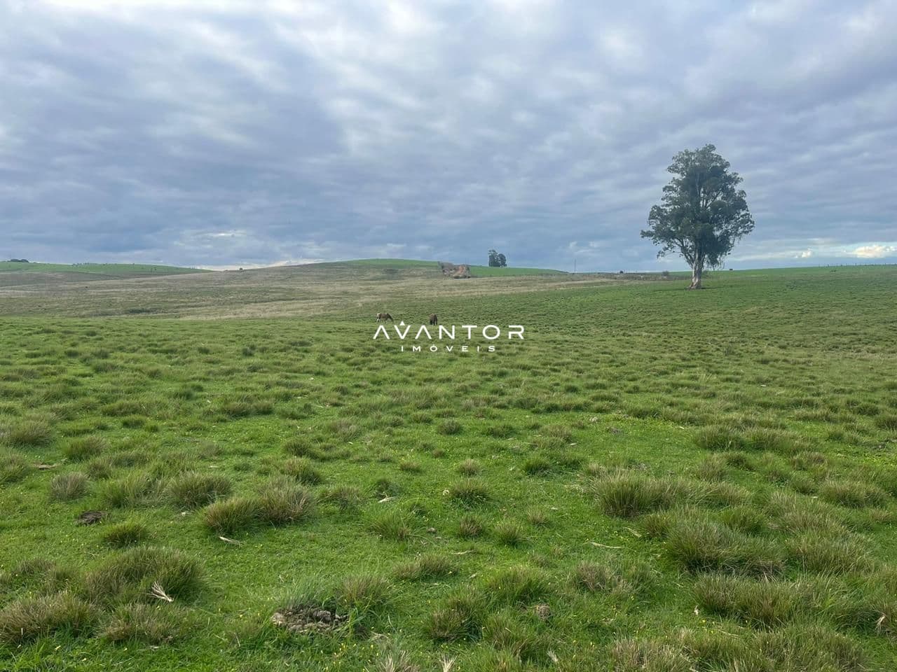 Campo à venda em Catuçaba, São Gabriel/RS — foto 2 de 38