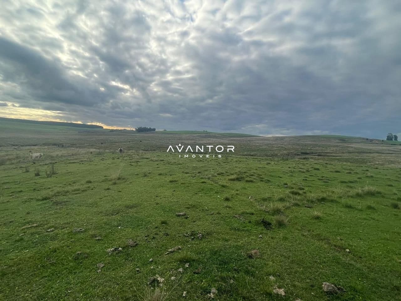 Campo à venda em Catuçaba, São Gabriel/RS — foto 3 de 38