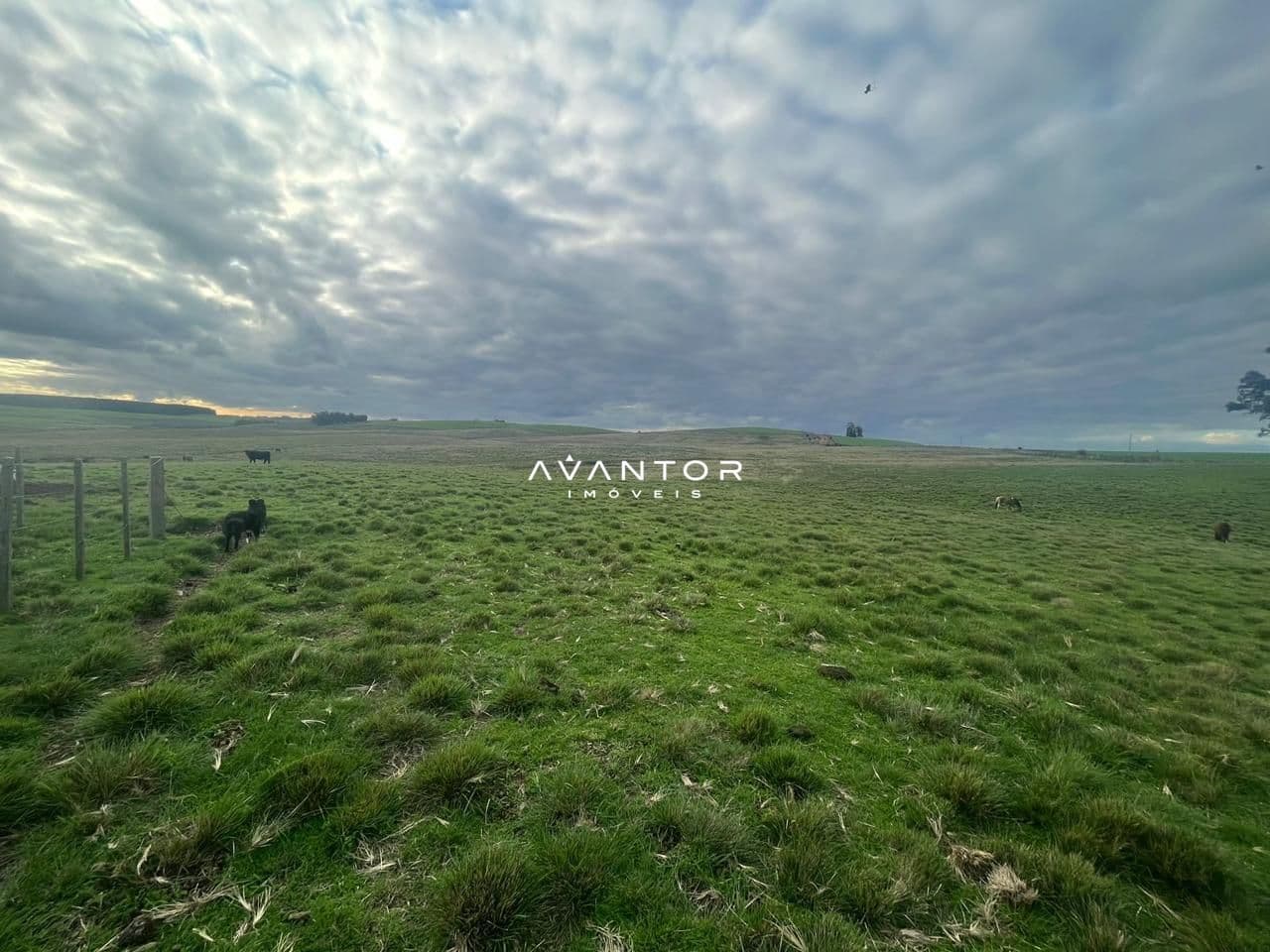 Campo à venda em Catuçaba, São Gabriel/RS — foto 4 de 38