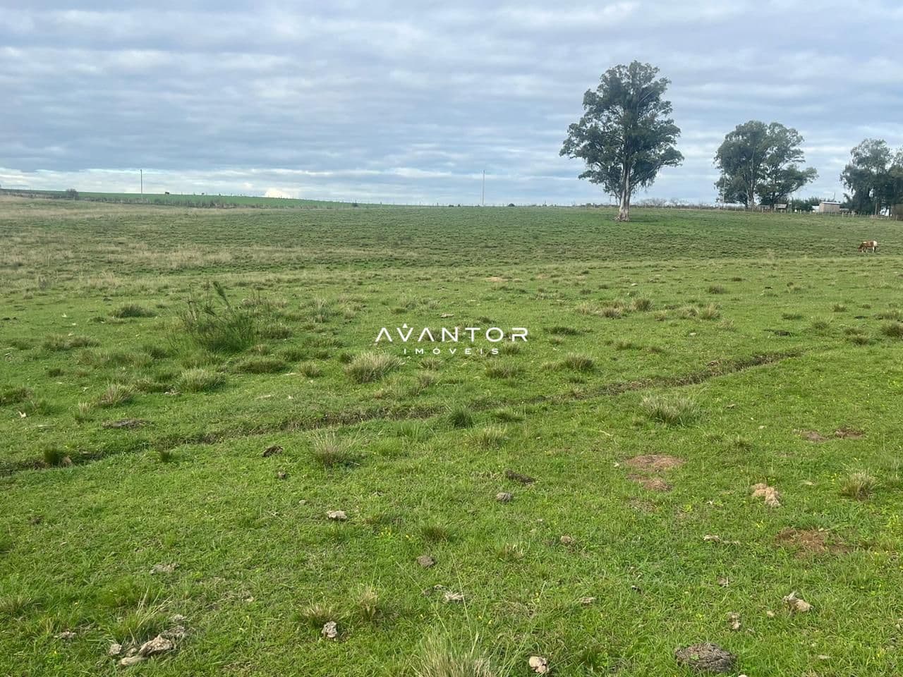 Campo à venda em Catuçaba, São Gabriel/RS — foto 5 de 38