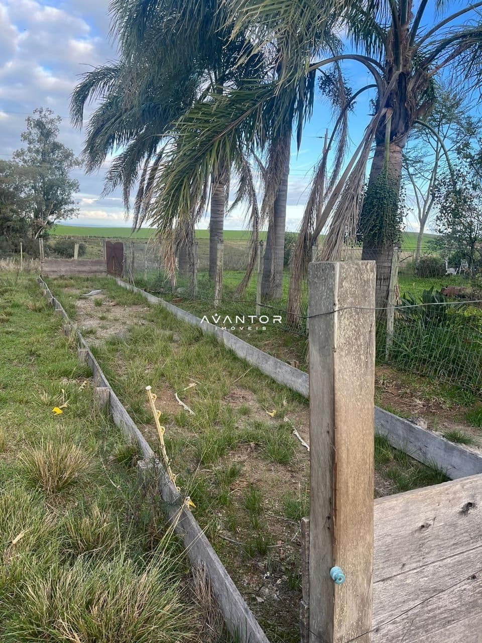 Campo à venda em Catuçaba, São Gabriel/RS — foto 6 de 38