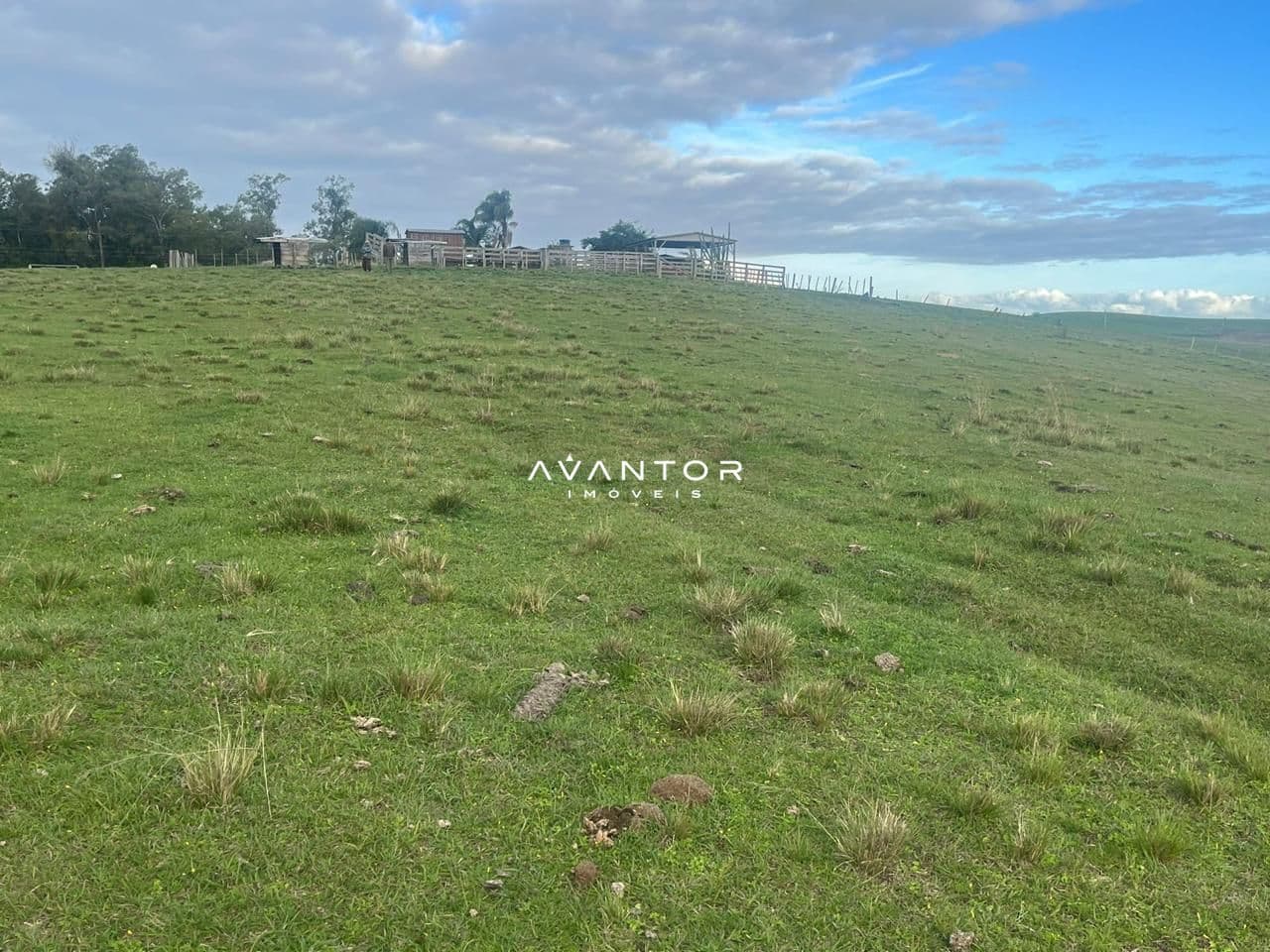 Campo à venda em Catuçaba, São Gabriel/RS — foto 7 de 38