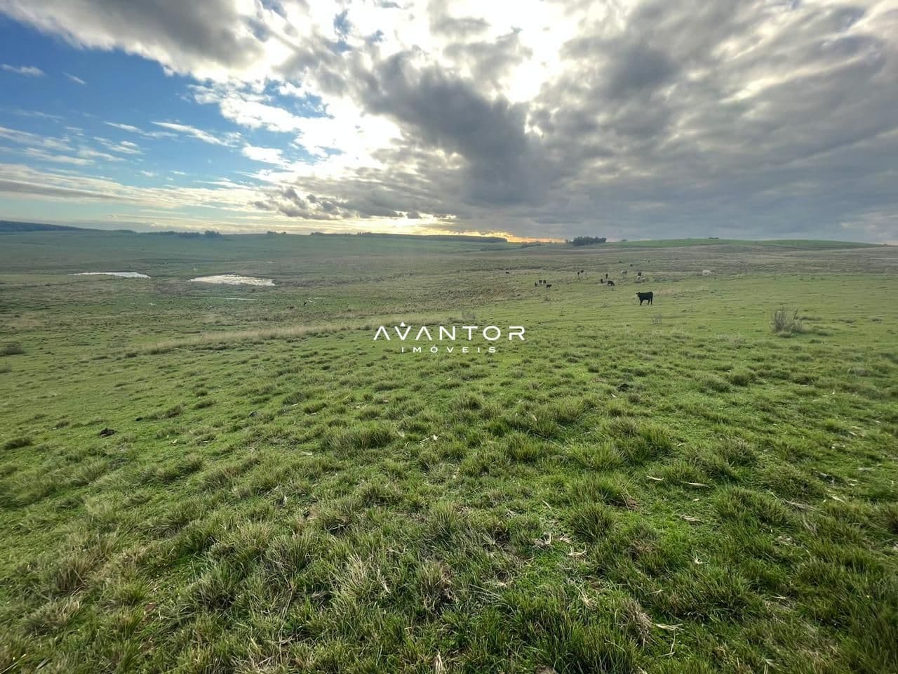 Campo à venda em Catuçaba, São Gabriel/RS — foto 8 de 38