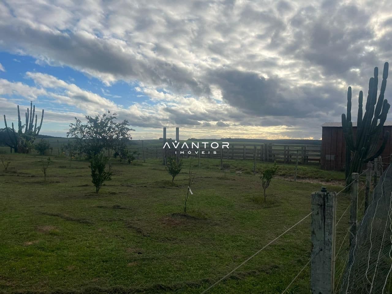 Campo à venda em Catuçaba, São Gabriel/RS — foto 9 de 38