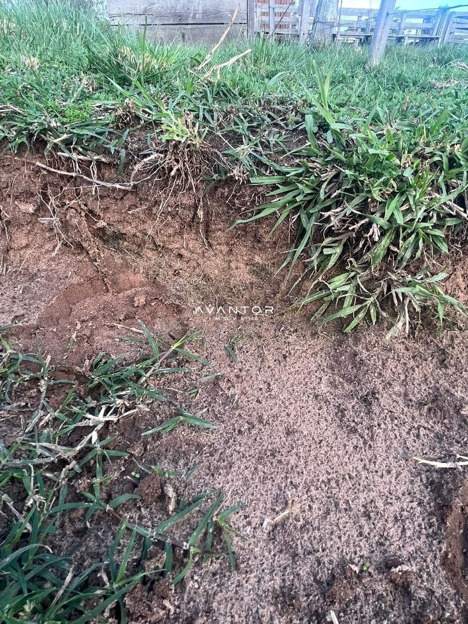 Campo à venda em Catuçaba, São Gabriel/RS — foto 10 de 38