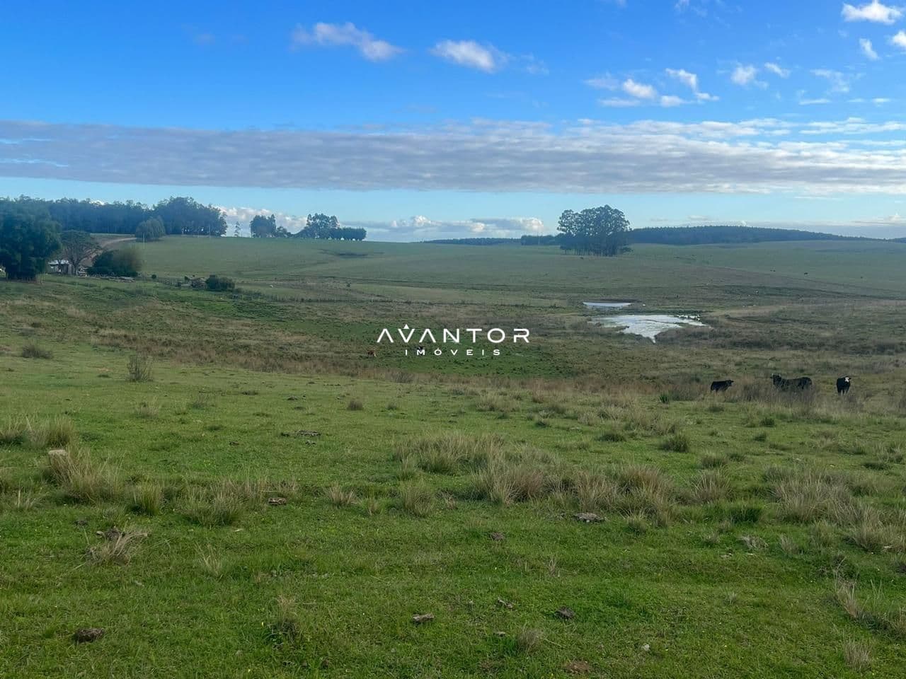 Campo à venda em Catuçaba, São Gabriel/RS — foto 11 de 38