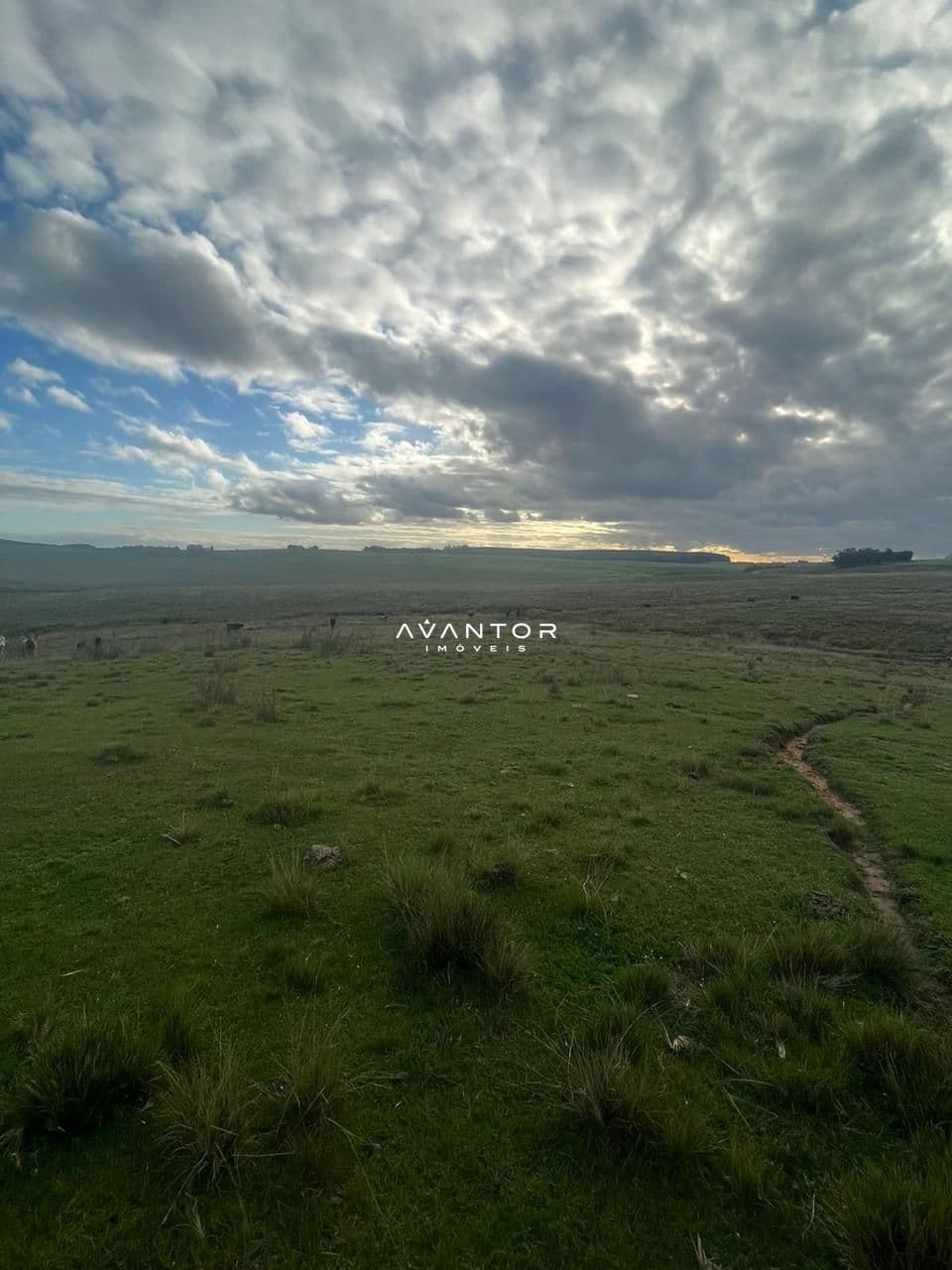 Campo à venda em Catuçaba, São Gabriel/RS — foto 12 de 38