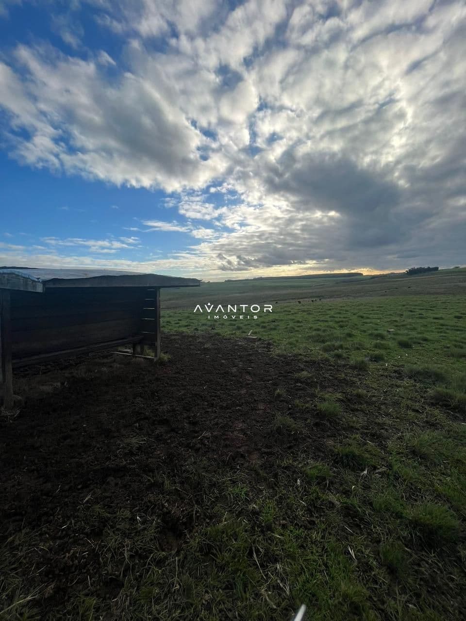Campo à venda em Catuçaba, São Gabriel/RS — foto 13 de 38