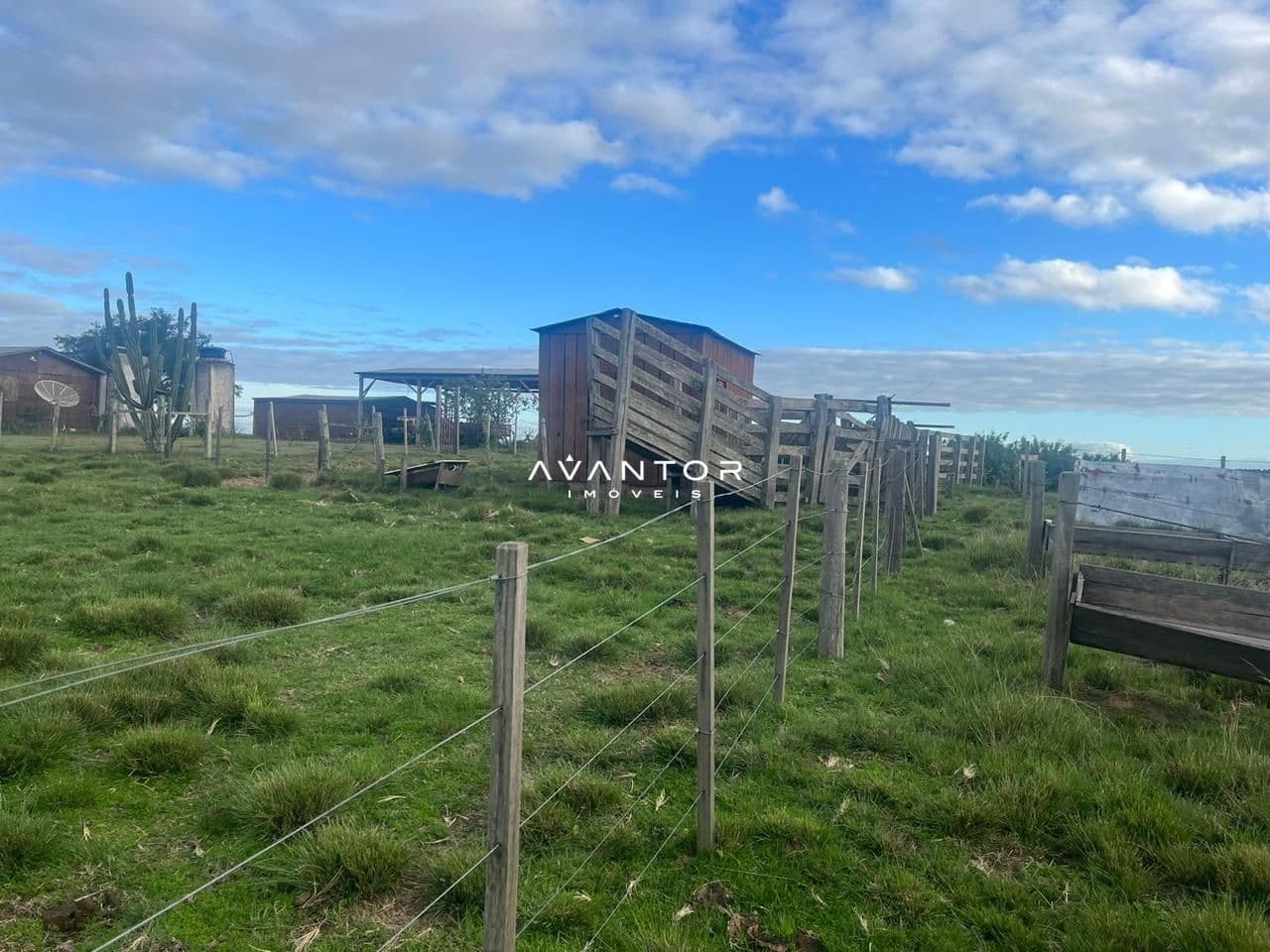 Campo à venda em Catuçaba, São Gabriel/RS — foto 17 de 38