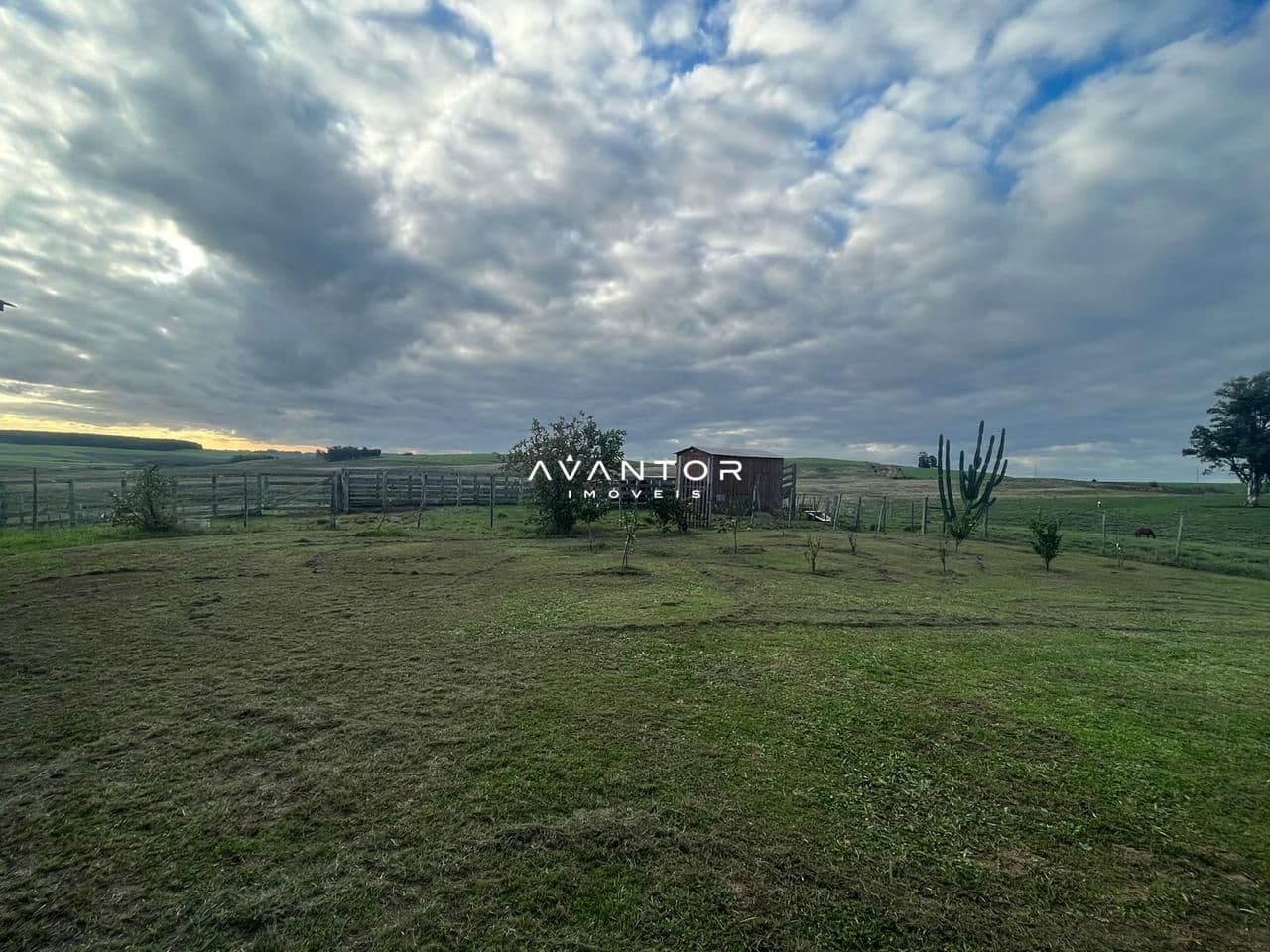 Campo à venda em Catuçaba, São Gabriel/RS — foto 19 de 38