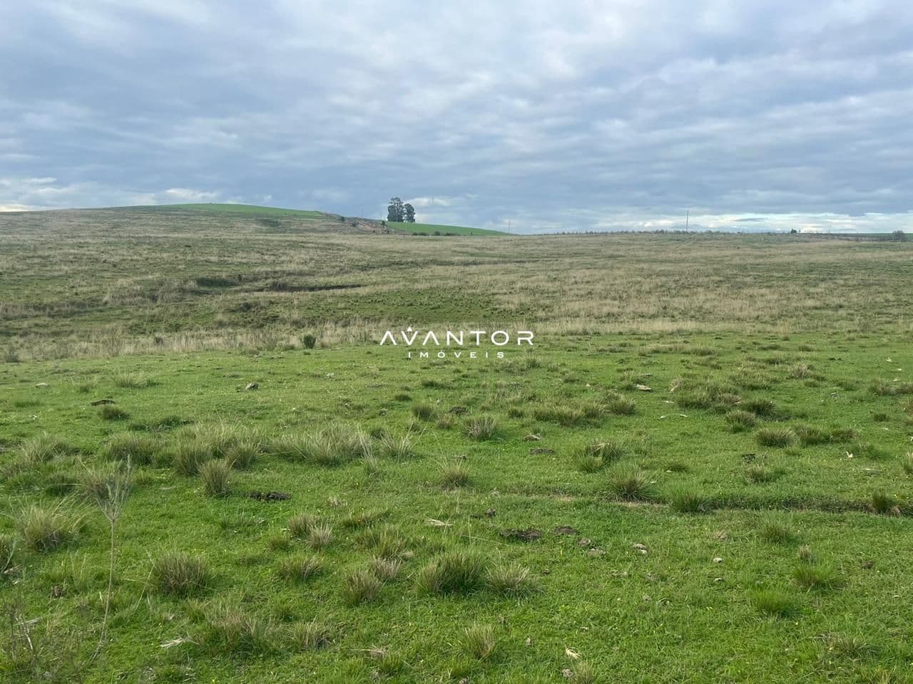 Campo à venda em Catuçaba, São Gabriel/RS — foto 20 de 38