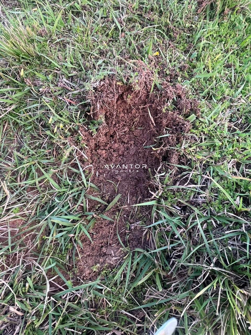 Campo à venda em Catuçaba, São Gabriel/RS — foto 21 de 38