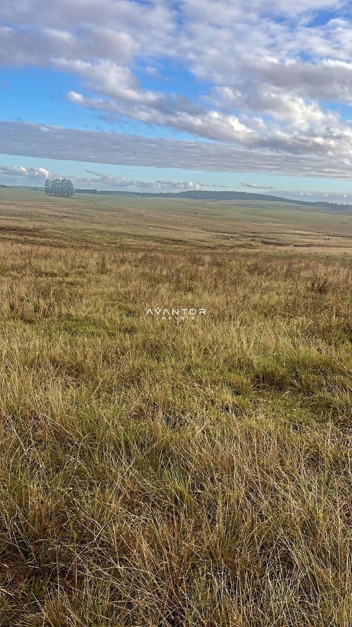 Campo à venda em Catuçaba, São Gabriel/RS — foto 23 de 38