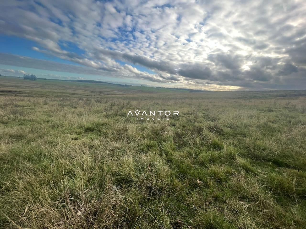 Campo à venda em Catuçaba, São Gabriel/RS — foto 24 de 38