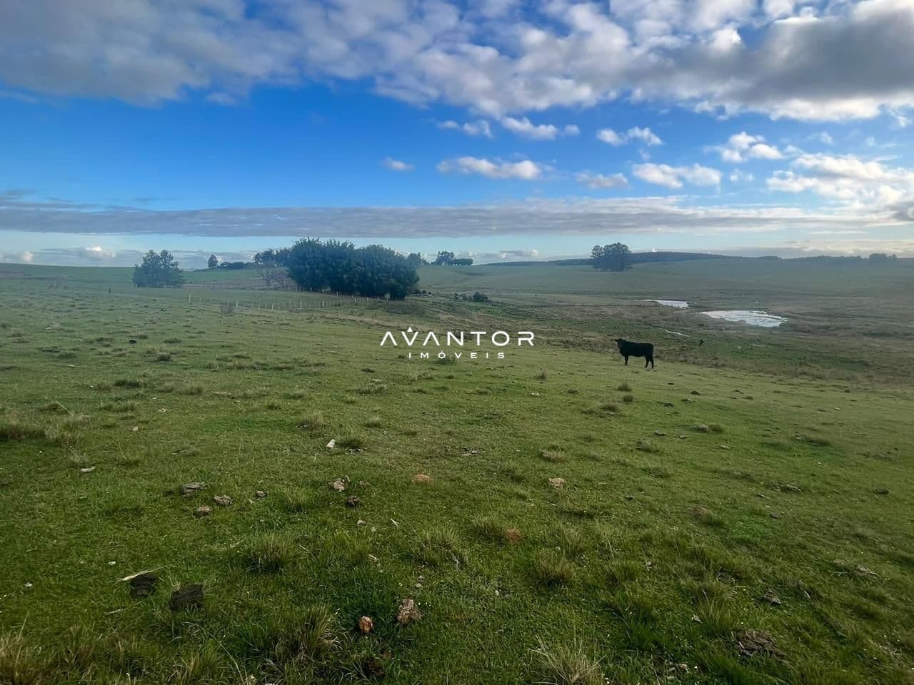 Campo à venda em Catuçaba, São Gabriel/RS — foto 25 de 38