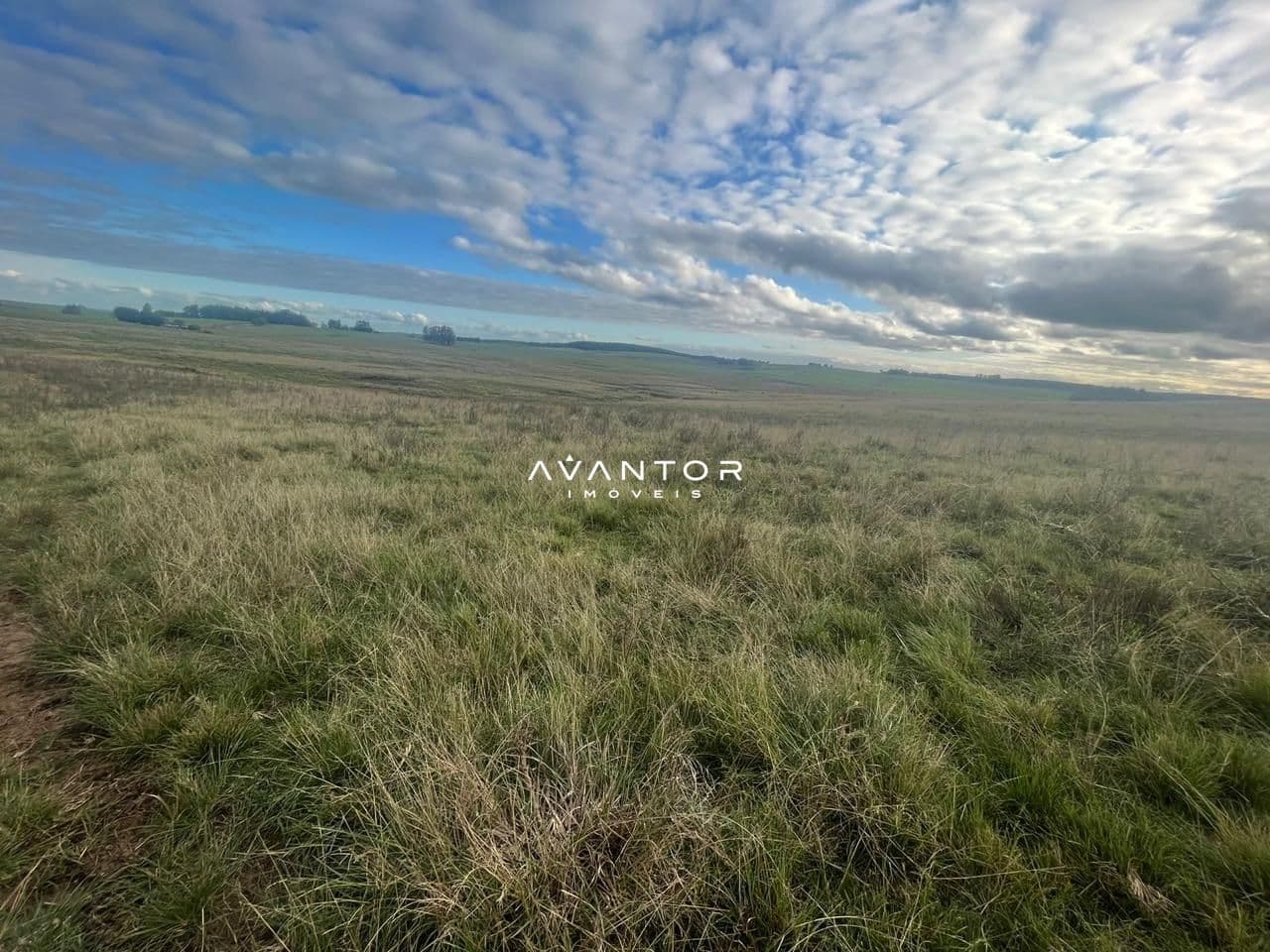 Campo à venda em Catuçaba, São Gabriel/RS — foto 26 de 38