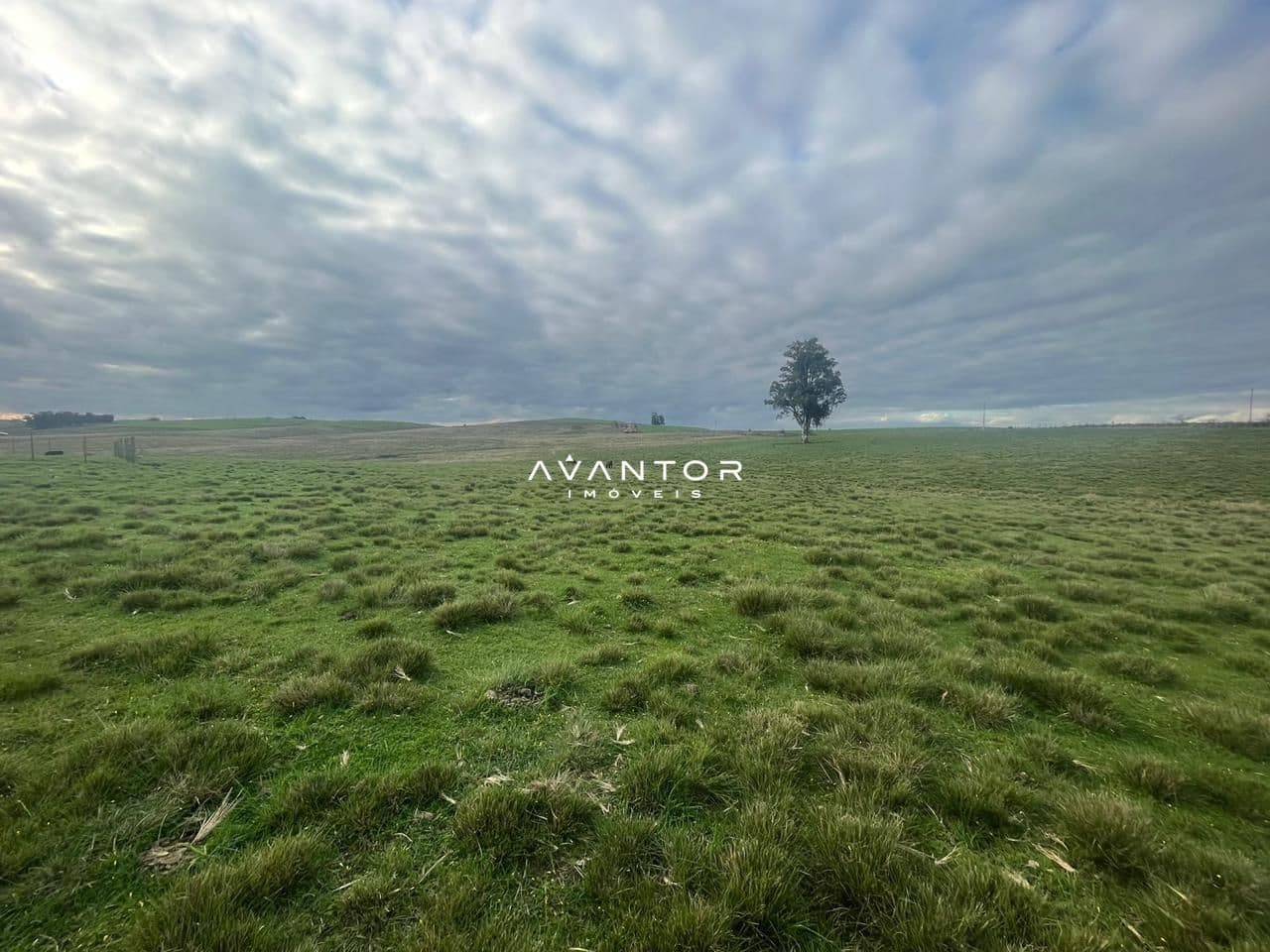 Campo à venda em Catuçaba, São Gabriel/RS — foto 27 de 38