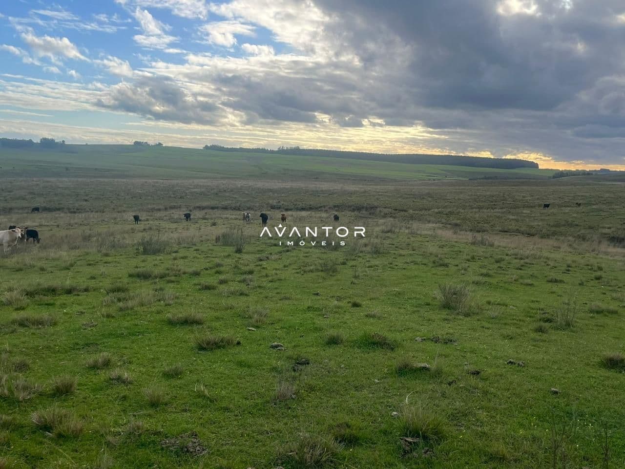 Campo à venda em Catuçaba, São Gabriel/RS — foto 29 de 38