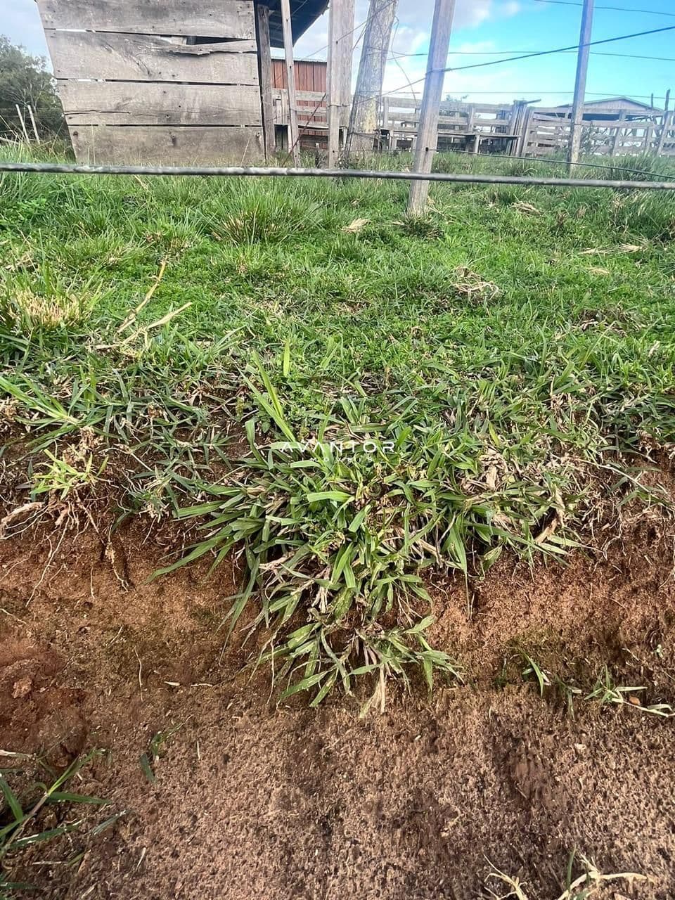 Campo à venda em Catuçaba, São Gabriel/RS — foto 31 de 38