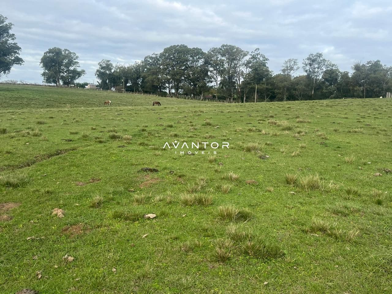Campo à venda em Catuçaba, São Gabriel/RS — foto 35 de 38