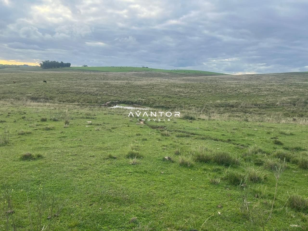 Campo à venda em Catuçaba, São Gabriel/RS — foto 36 de 38