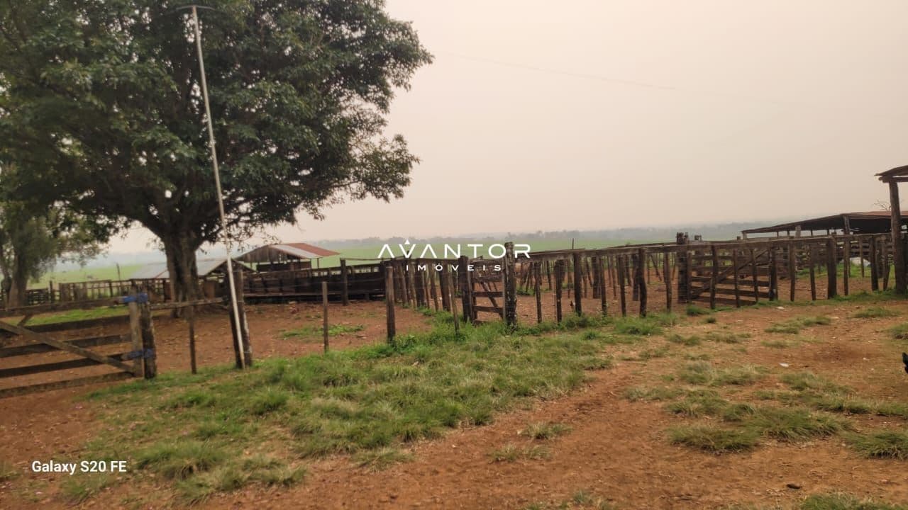 Fazenda com 2 quartos à venda em Zona Rural, Itacurubi/RS — foto 4 de 4