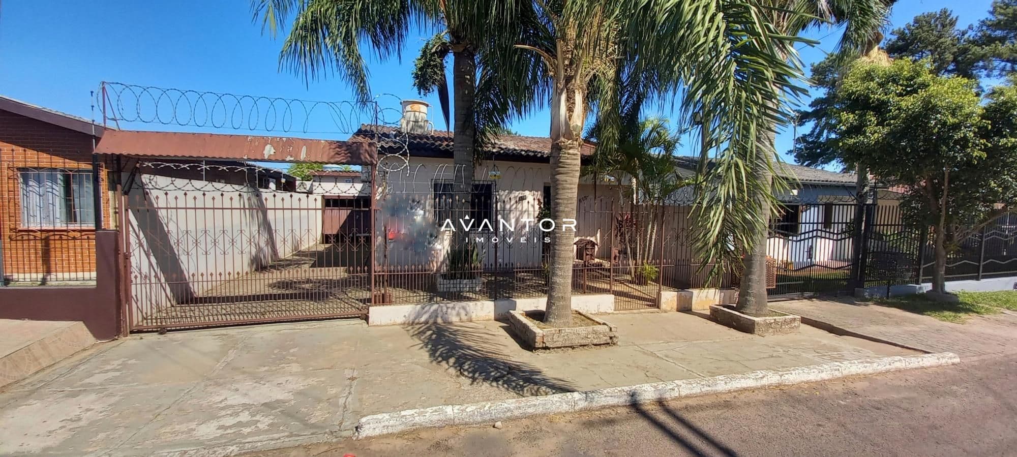 Fachada da casa com pátio e palmeiras — Casa com 3 quartos à venda em Pinheiro Machado, Santa Maria/RS