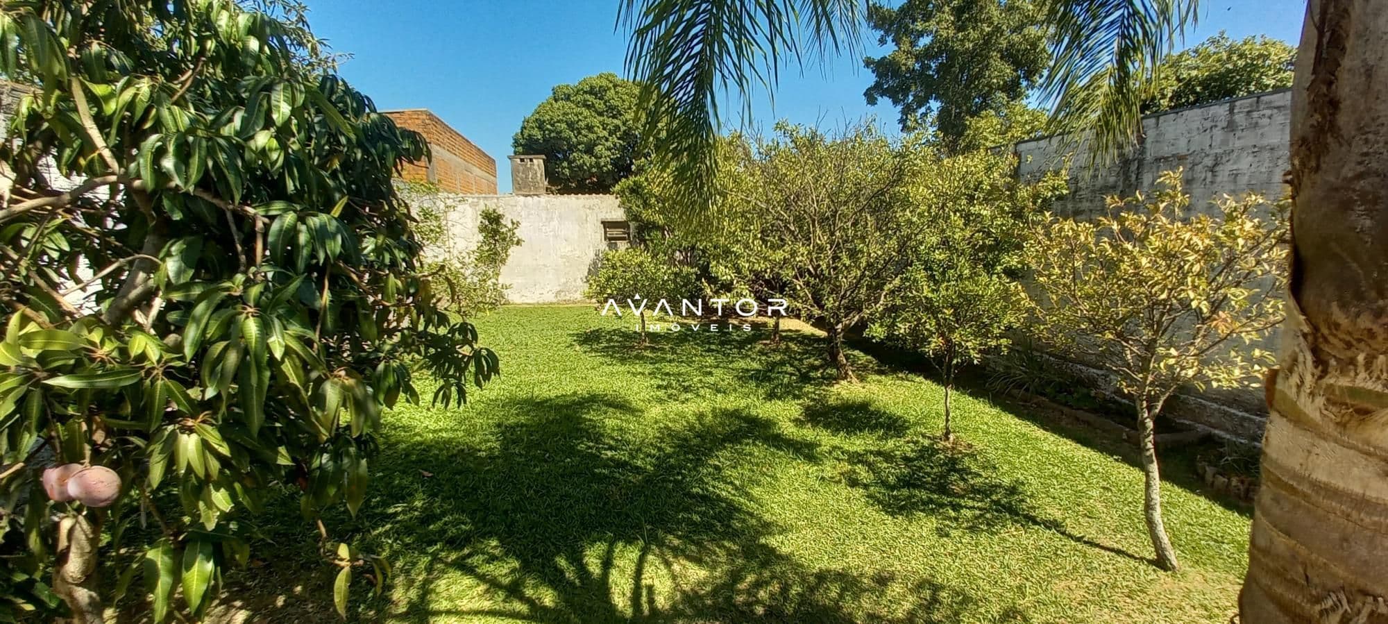 Casa com 3 quartos à venda em Pinheiro Machado, Santa Maria/RS — foto 15 de 15