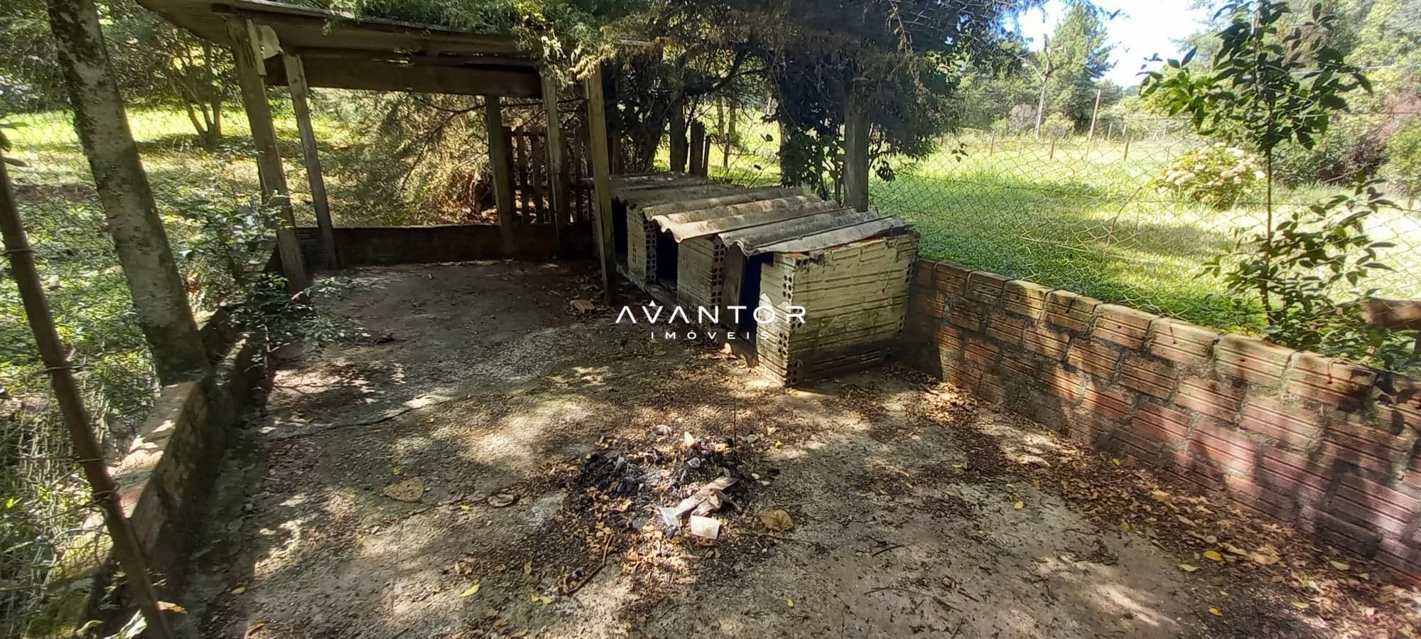 Chácara com 3 quartos à venda em Etelvina, Itaara/RS — foto 22 de 31