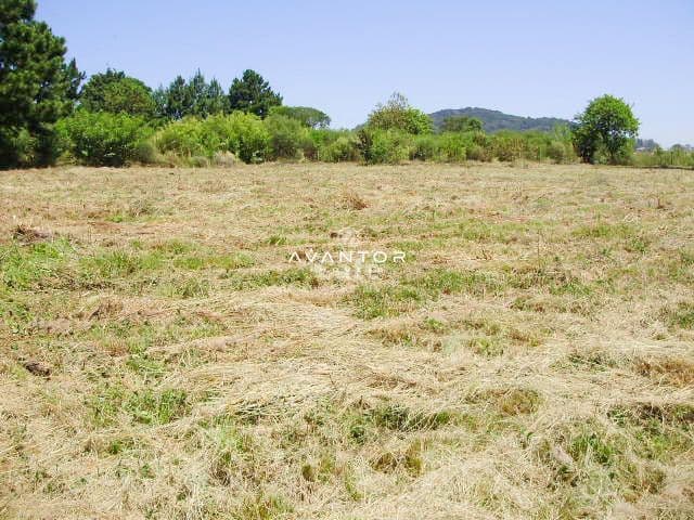 Terreno com vegetação e vista para montanhas — Terreno à venda em Diácono João Luiz Pozzobon, Santa Maria/RS