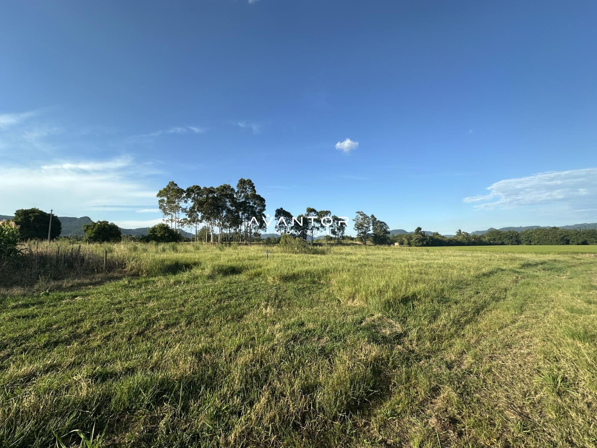Terreno com árvores e vista da paisagem — Terreno à venda em Centro, Paraíso do Sul/RS