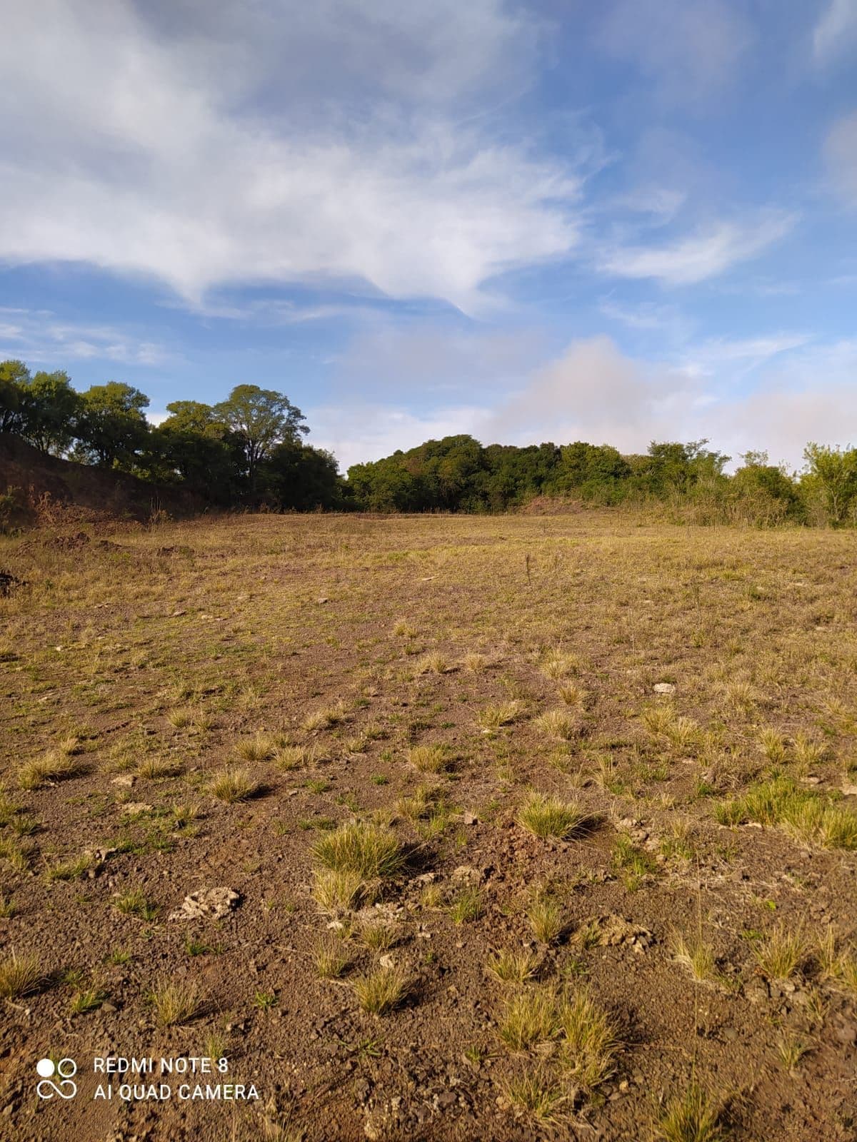 Chácara com 2 quartos à venda em Rural, São Pedro do Sul/RS — foto 2 de 5
