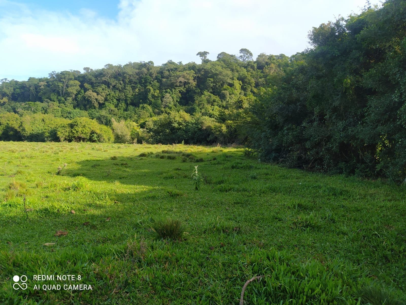Chácara com 2 quartos à venda em Rural, São Pedro do Sul/RS — foto 3 de 5