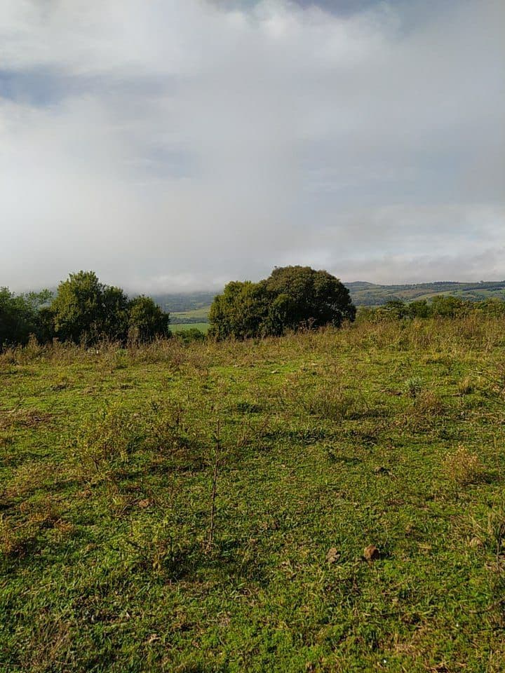 Chácara com 2 quartos à venda em Rural, São Pedro do Sul/RS — foto 4 de 5