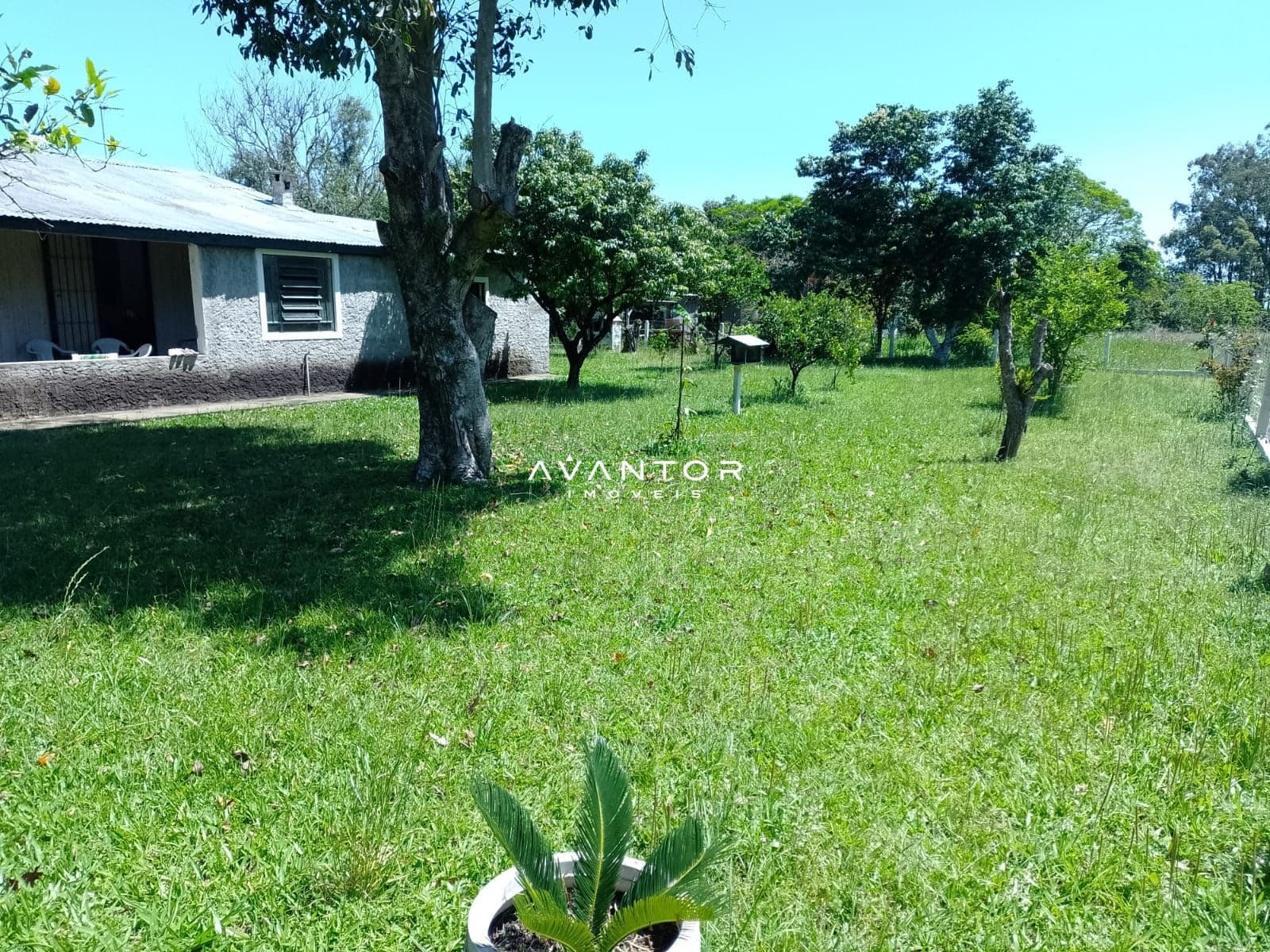 Casa com 2 quartos à venda em Interior, Restinga Seca/RS — foto 3 de 11