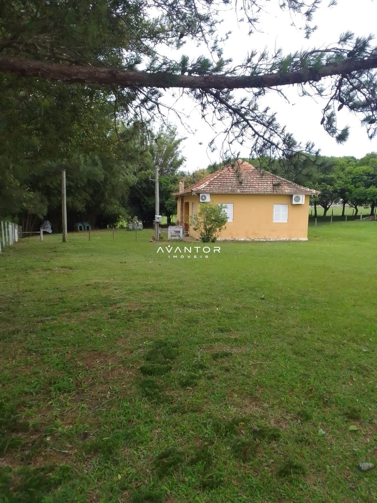 Chácara com 3 quartos à venda em Centro, Restinga Seca/RS — foto 5 de 13