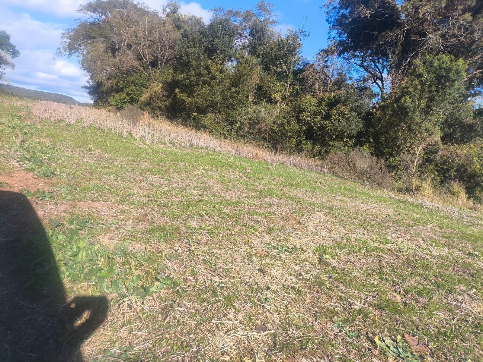 Campo à venda em Zona Rural, São Francisco de Assis/RS — foto 2 de 3