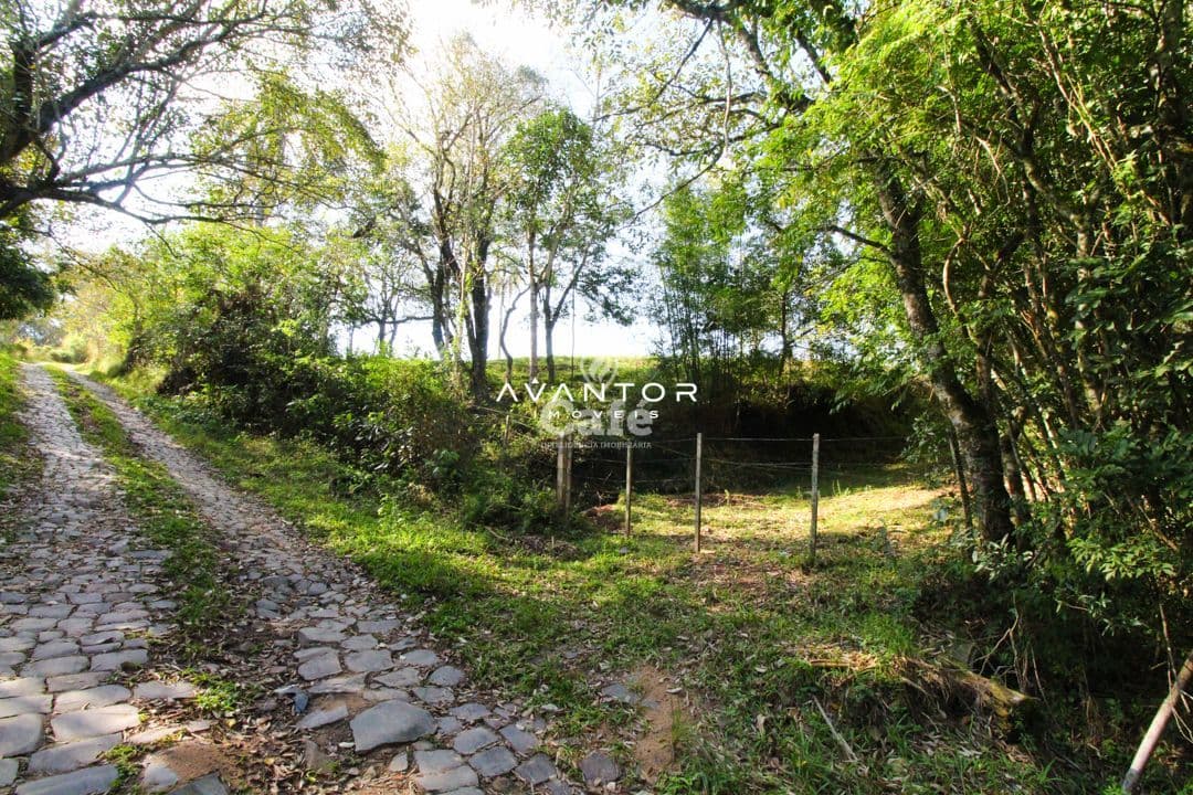 Chácara com 1,5 Hectares, Próximo da UFSM, Pé de Plátano — Campo à venda em Pé de Plátano, Santa Maria/RS