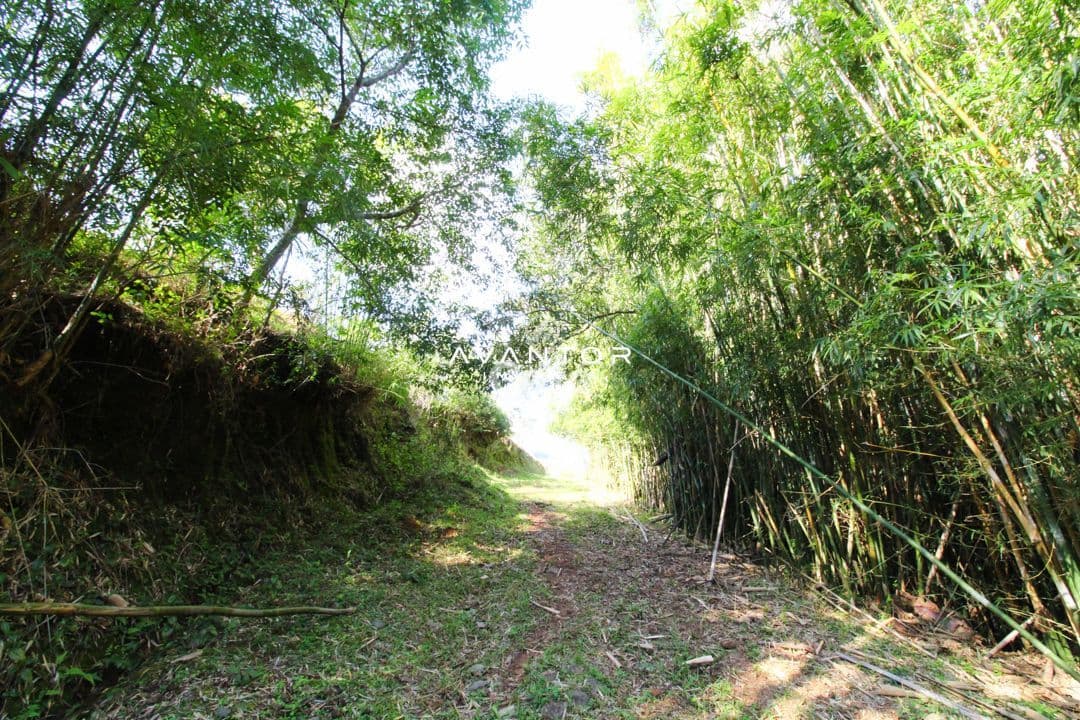 Chácara com 1,5 Hectares, Próximo da UFSM, Pé de Plátano — Campo à venda em Pé de Plátano, Santa Maria/RS
