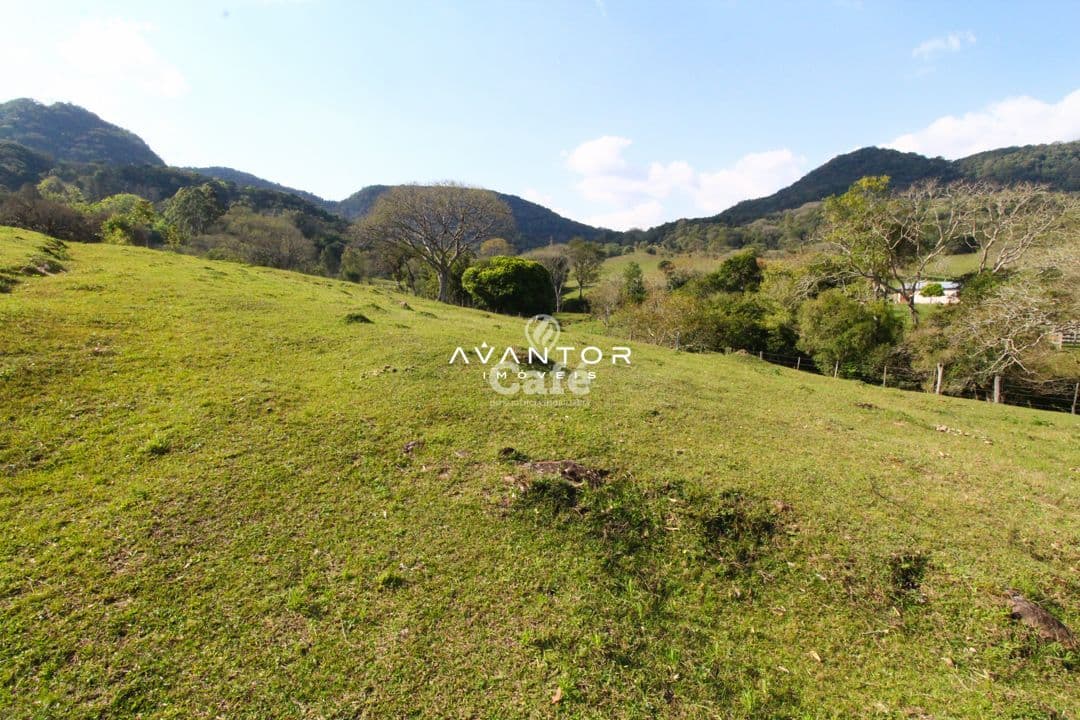 Chácara com 1,5 Hectares, Próximo da UFSM, Pé de Plátano — Campo à venda em Pé de Plátano, Santa Maria/RS