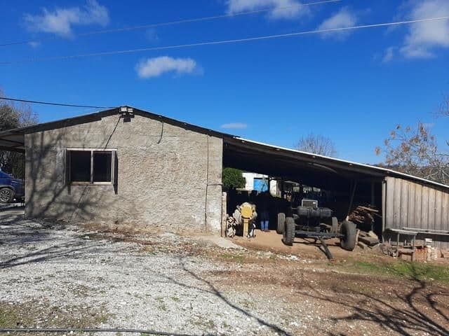 Fazenda com 3 quartos à venda em Zona rural, Santana da Boa Vista/RS — foto 4 de 8