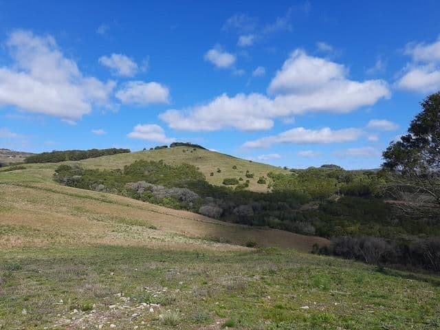 Fazenda com 3 quartos à venda em Zona rural, Santana da Boa Vista/RS — foto 5 de 8
