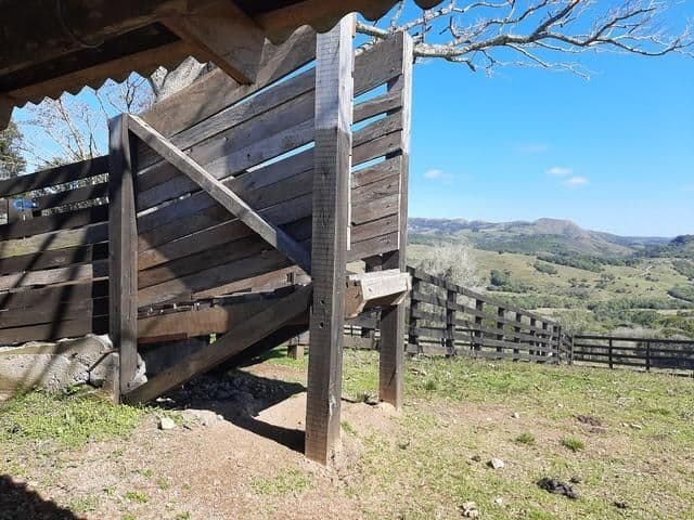 Fazenda com 3 quartos à venda em Zona rural, Santana da Boa Vista/RS — foto 6 de 8