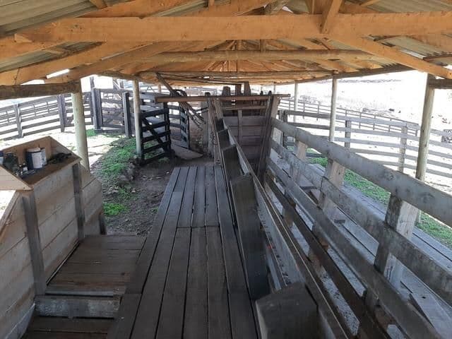 Fazenda com 3 quartos à venda em Zona rural, Santana da Boa Vista/RS — foto 7 de 8
