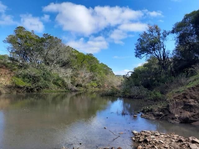 Fazenda com 3 quartos à venda em Zona rural, Santana da Boa Vista/RS — foto 8 de 8