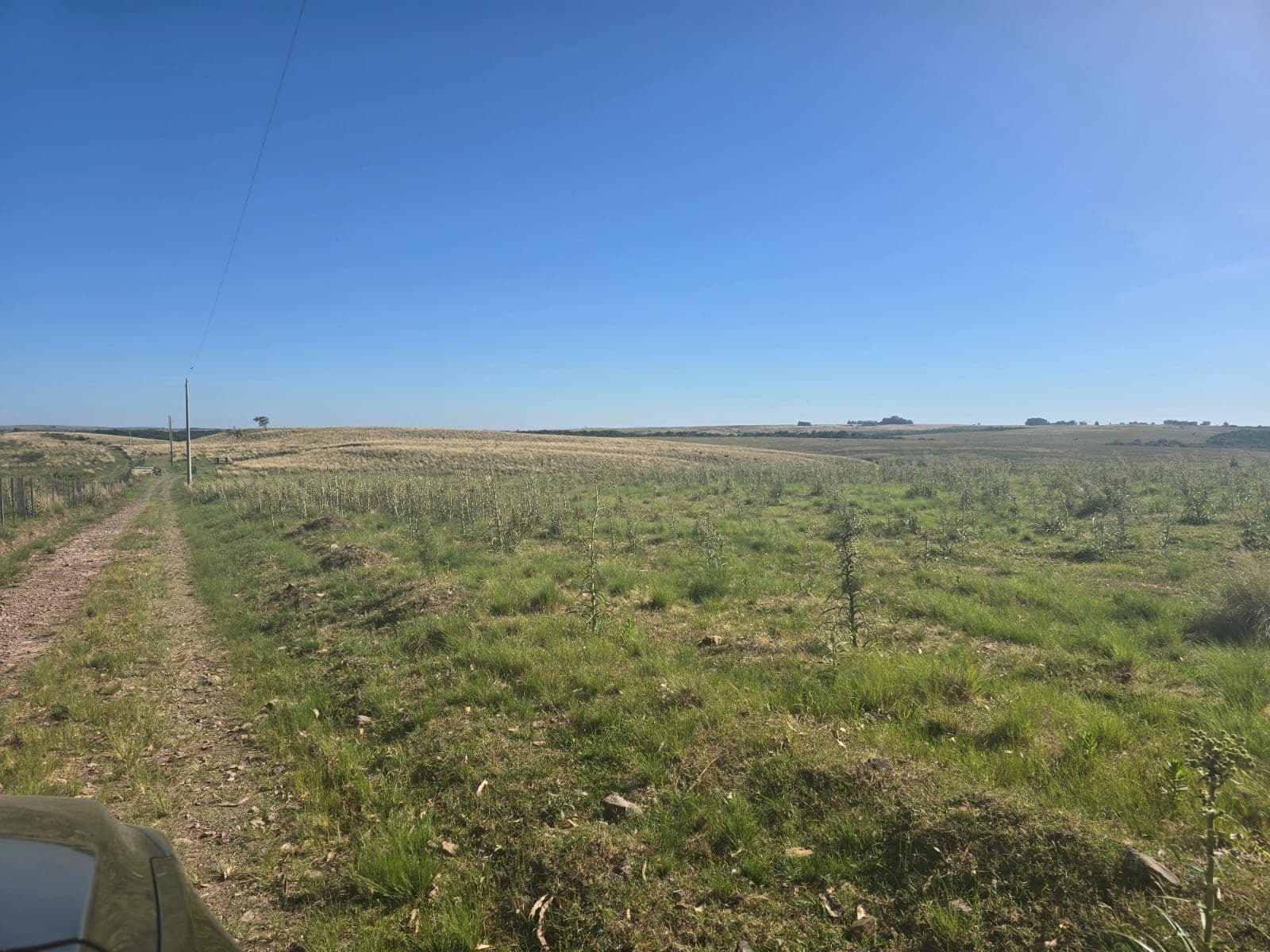 Chácara com 2 quartos à venda em Zona Rural, Santiago/RS — foto 7 de 7