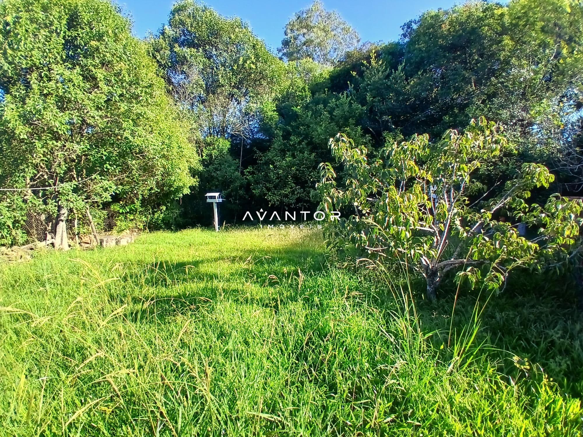 Casa com 2 quartos à venda em Parque Serrano I, Itaara/RS — foto 11 de 14